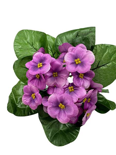 Bukiet fiołki 20 cm fiołkowe