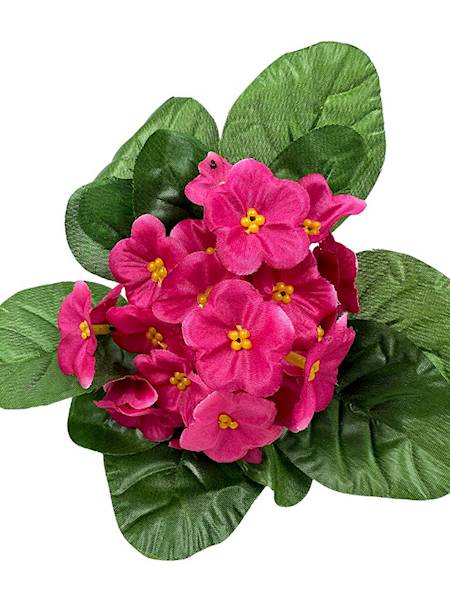 Bukiet fiołki 20 cm ciemny róż