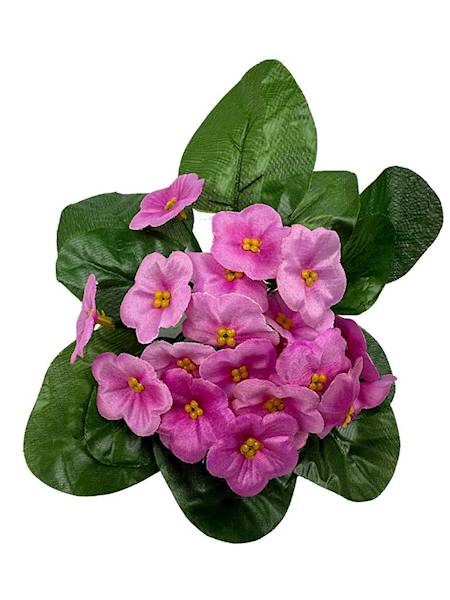 Bukiet fiołki 20 cm różowe