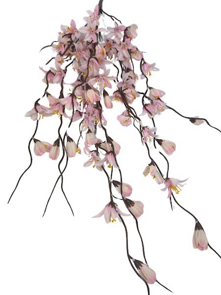 Bukiet forsycja 85 cm różowa