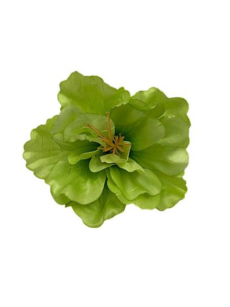 Hibiskus główka 12 cm zielony