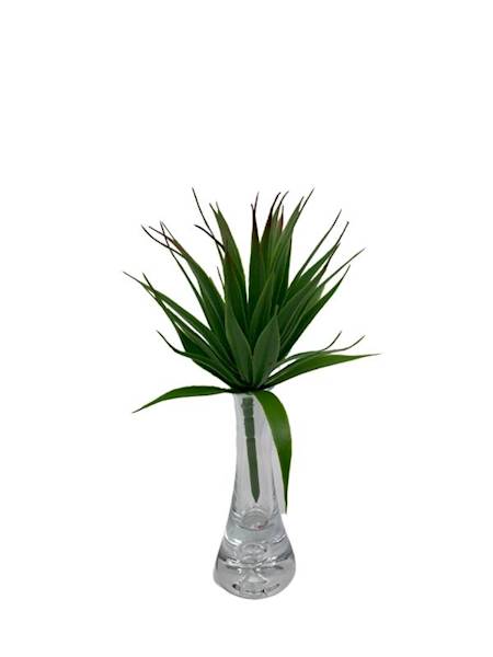 Sukulent 20 cm zielony