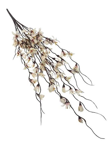 Bukiet forsycja 85 cm kremowa z różem