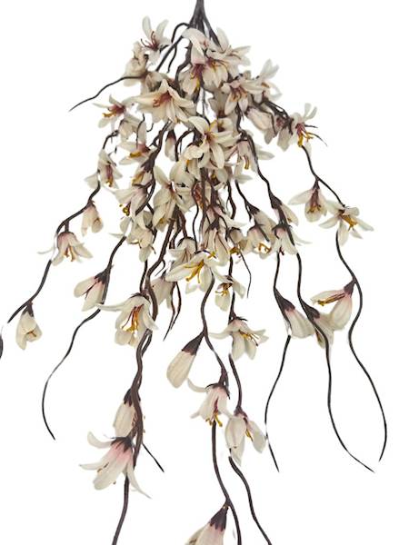 Bukiet forsycja 85 cm kremowa z różem