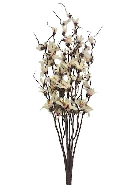 Bukiet forsycja 85 cm kremowa z różem