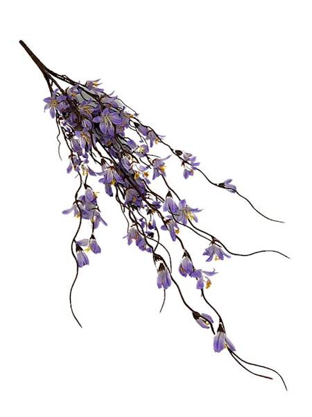 Bukiet forsycja 85 cm fioletowo kremowa