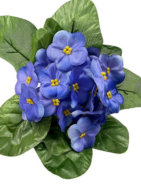 Bukiet fiołki 20 cm niebieskie