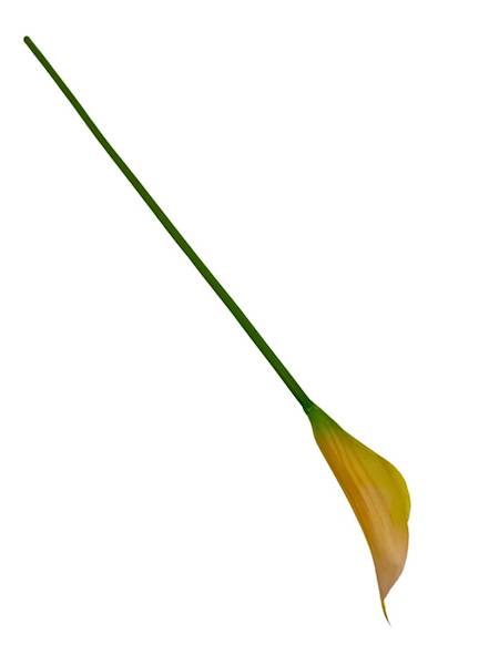 Kantadeska gumowa 60 cm żółta