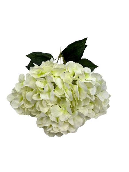 Bukiet hortensji 47 cm kremowy