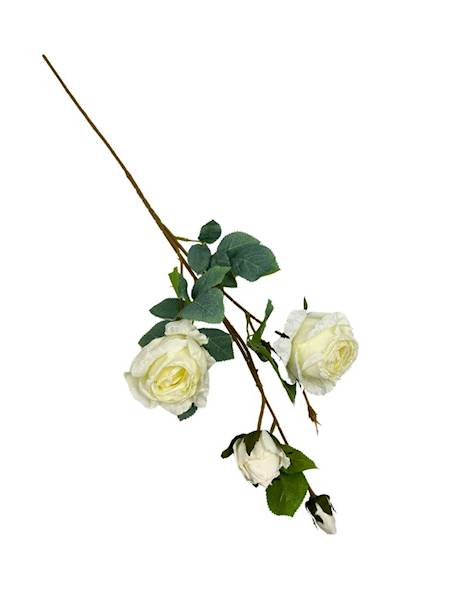 RÓŻA GAŁĄZKA PODSUSZANA 70 CM KREMOWA