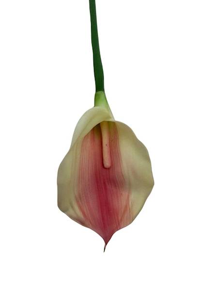 Kalia gumowa gałązka 70 cm krem róż