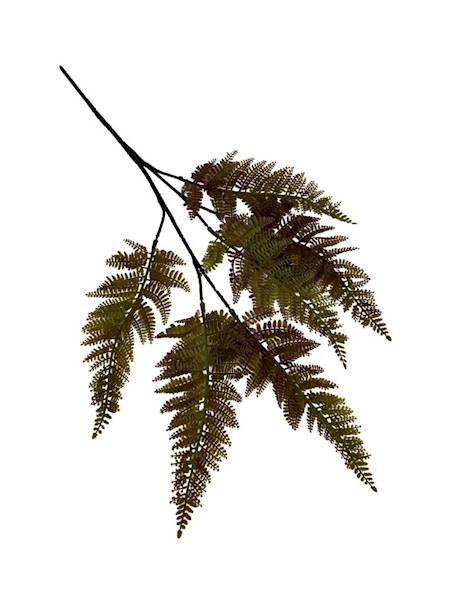 PAPROĆ GAŁĄZKA 56 CM BRĄZOWA
