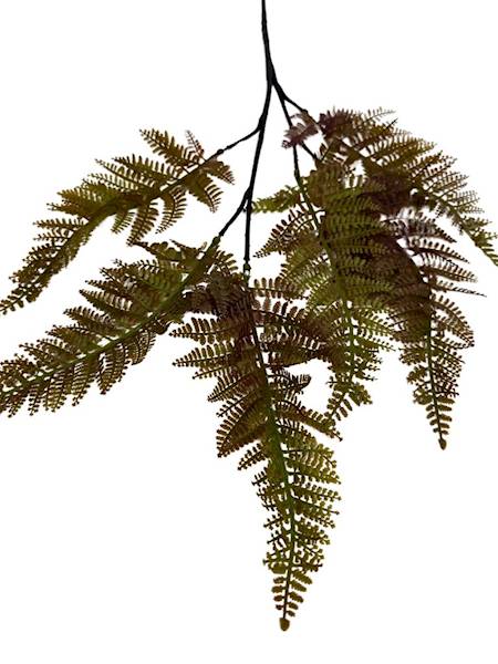 PAPROĆ GAŁĄZKA 56 CM BRĄZOWA