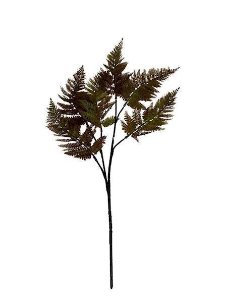 PAPROĆ GAŁĄZKA 56 CM BRĄZOWA