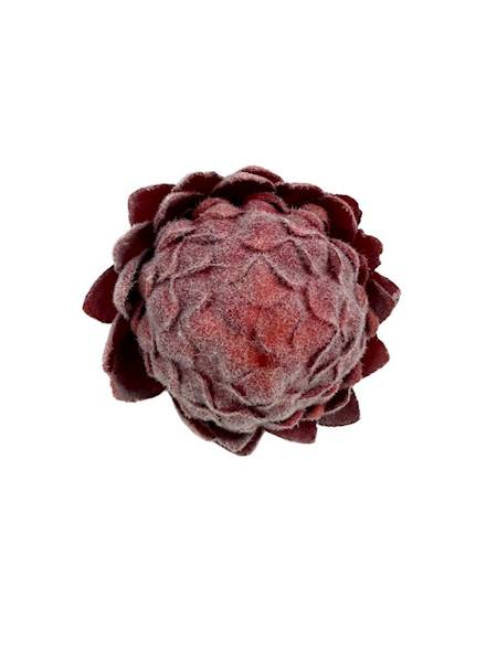 Protea główka 10 cm czerwona