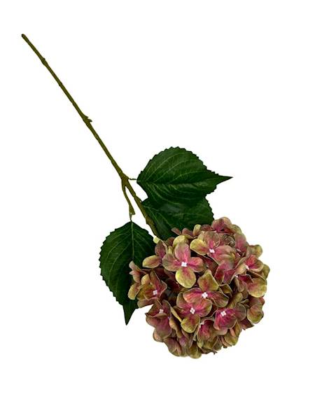 HORTENSJA GAŁĄZKA 60 CM ZIELONO RÓŻOWA