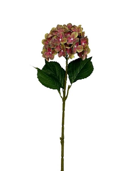 HORTENSJA GAŁĄZKA 60 CM ZIELONO RÓŻOWA