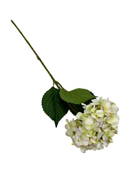 HORTENSJA GAŁĄZKA 60 CM KREMOWO ZIELONA
