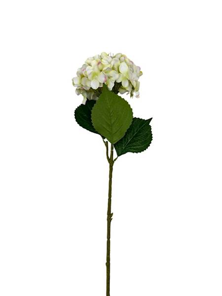 HORTENSJA GAŁĄZKA 60 CM KREMOWO ZIELONA