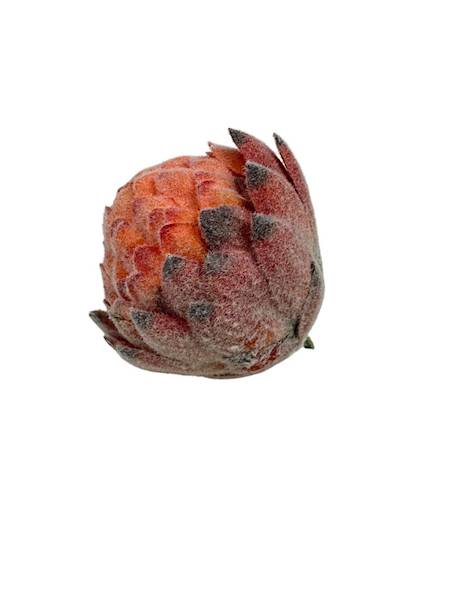Protea główka 10 cm pomarańczowa