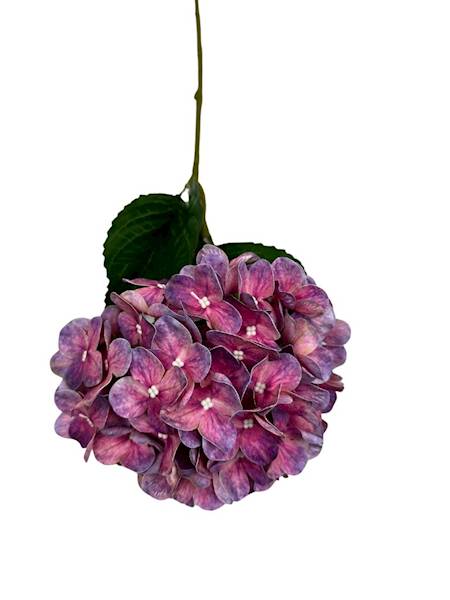 HORTENSJA GAŁĄZKA 60 CM RÓŻOWO FIOLETOWA