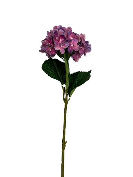 HORTENSJA GAŁĄZKA 60 CM RÓŻOWO FIOLETOWA