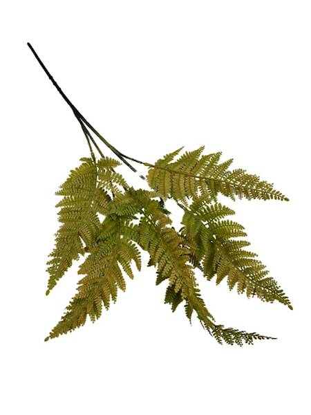 PAPROĆ GAŁĄZKA 56 CM ŻÓŁTO ZIELONA