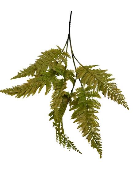 PAPROĆ GAŁĄZKA 56 CM ŻÓŁTO ZIELONA