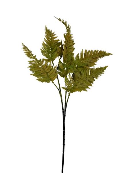 PAPROĆ GAŁĄZKA 56 CM ŻÓŁTO ZIELONA