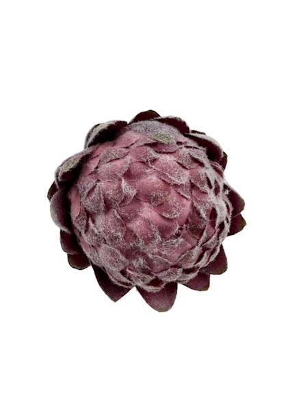 Protea główka 10 cm brudny róż