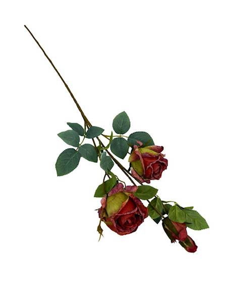 RÓŻA GAŁĄZKA PODSUSZANA 70 CM CZERWONO ZIELONA