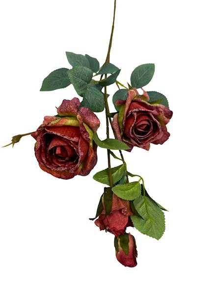 RÓŻA GAŁĄZKA PODSUSZANA 70 CM CZERWONO ZIELONA