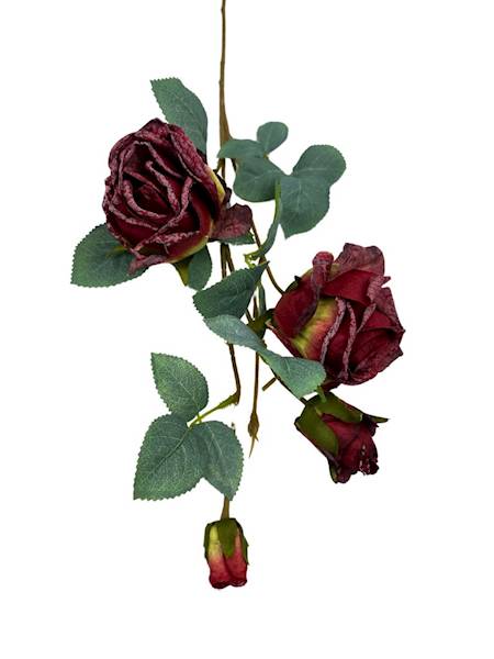 RÓŻA GAŁĄZKA PODSUSZANA 70 CM BORDOWA