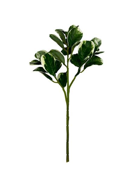 Gałązka liści 44 cm zielono biała
