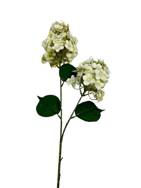 HORTENSJA GAŁĄZKA 83 CM KREMOWO ZIELONA