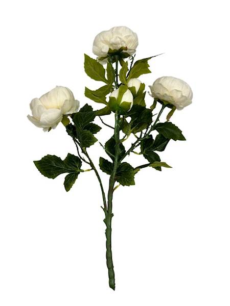 Bukiet piwonii 50 cm kremowy