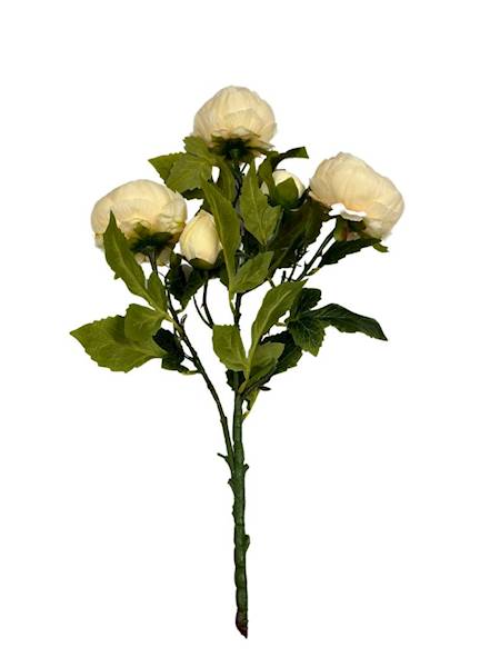 Bukiet piwonii 50 cm ciemno kremowy
