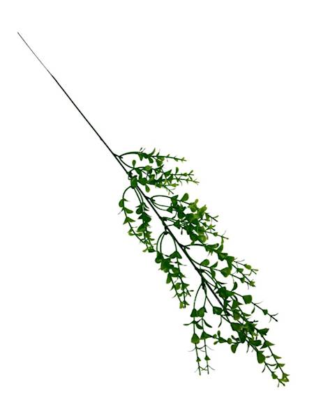 Bukszpan gałązka 57 cm zielony