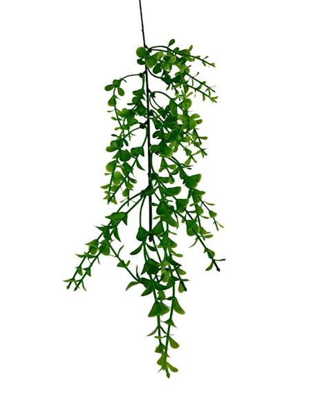 Bukszpan gałązka 57 cm zielony