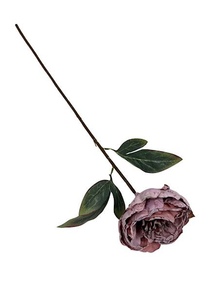 PIWONIA GAŁĄZKA 55 CM BRUDNY RÓŻ