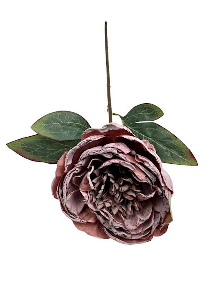 PIWONIA GAŁĄZKA 55 CM BRUDNY RÓŻ