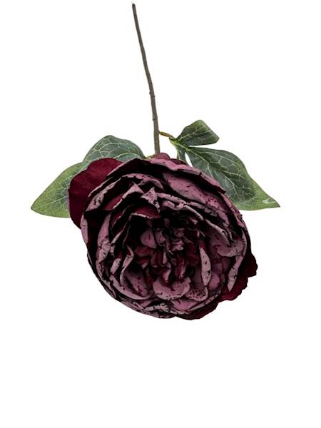 PIWONIA GAŁĄZKA 55 CM BORDOWA