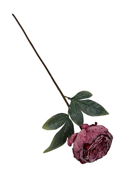 PIWONIA GAŁĄZKA 55 CM CZERWONA