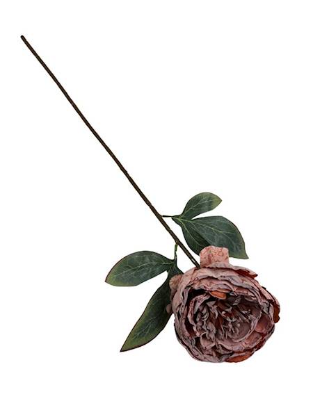 PIWONIA GAŁĄZKA 55 CM BRĄZOWA