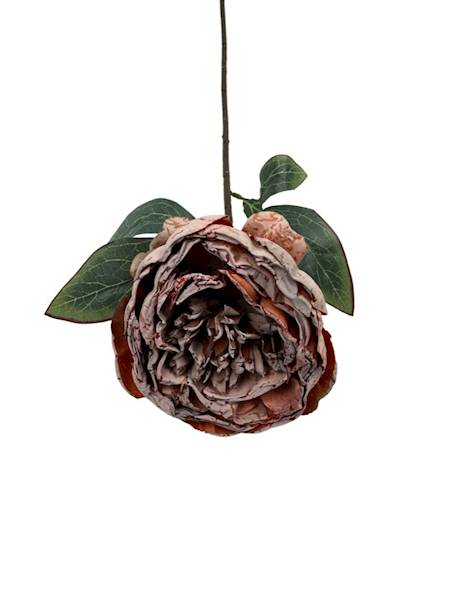 PIWONIA GAŁĄZKA 55 CM BRĄZOWA