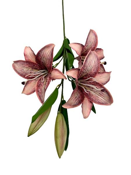 LILIA GAŁĄZKA 92 CM CZERWONA