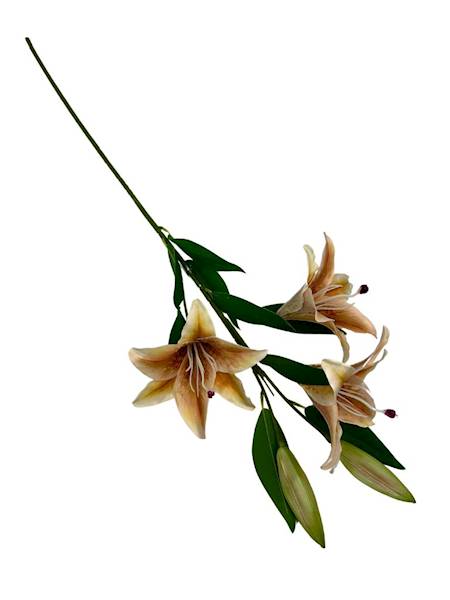 LILIA GAŁĄZKA 92 CM JASNY BRĄZ