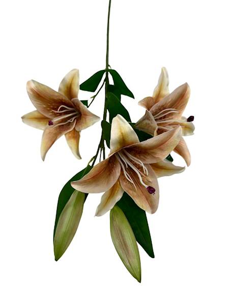 LILIA GAŁĄZKA 92 CM JASNY BRĄZ