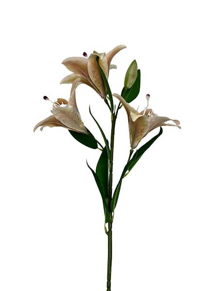 LILIA GAŁĄZKA 92 CM JASNY BRĄZ