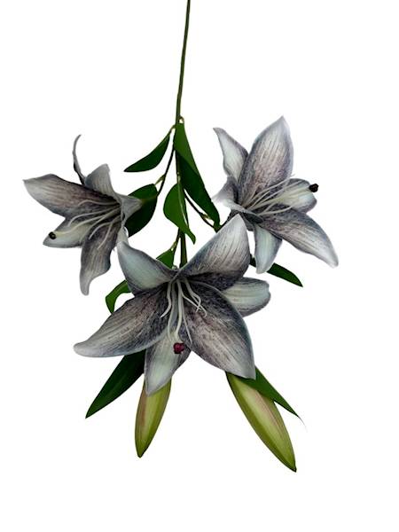 LILIA GAŁĄZKA 92 CM SZARA